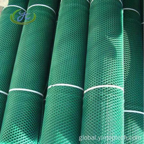 Turf Reinforcement Mesh Plastic Lawn Reinforcement Mesh Factory